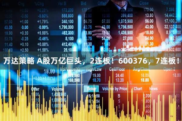 万达策略 A股万亿巨头，2连板！600376，7连板！