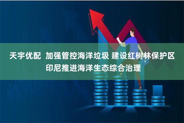 天宇优配  加强管控海洋垃圾 建设红树林保护区 印尼推进海洋生态综合治理