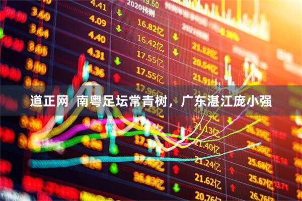 道正网  南粤足坛常青树，广东湛江庞小强