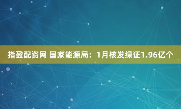 指盈配资网 国家能源局：1月核发绿证1.96亿个