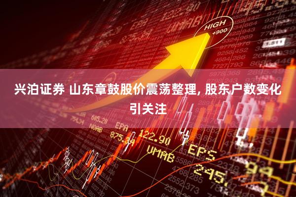 兴泊证券 山东章鼓股价震荡整理, 股东户数变化引关注