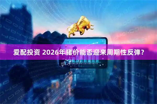 爱配投资 2026年猪价能否迎来周期性反弹？