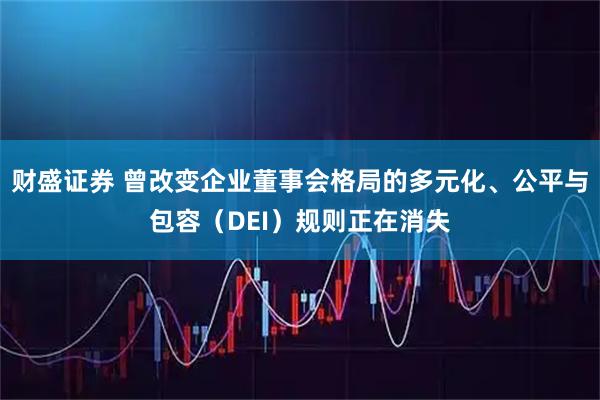 财盛证券 曾改变企业董事会格局的多元化、公平与包容（DEI）规则正在消失
