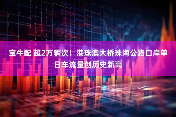 宝牛配 超2万辆次！港珠澳大桥珠海公路口岸单日车流量创历史新高