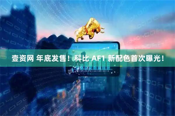 壹资网 年底发售！科比 AF1 新配色首次曝光！