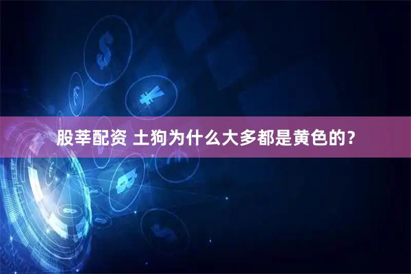 股莘配资 土狗为什么大多都是黄色的？